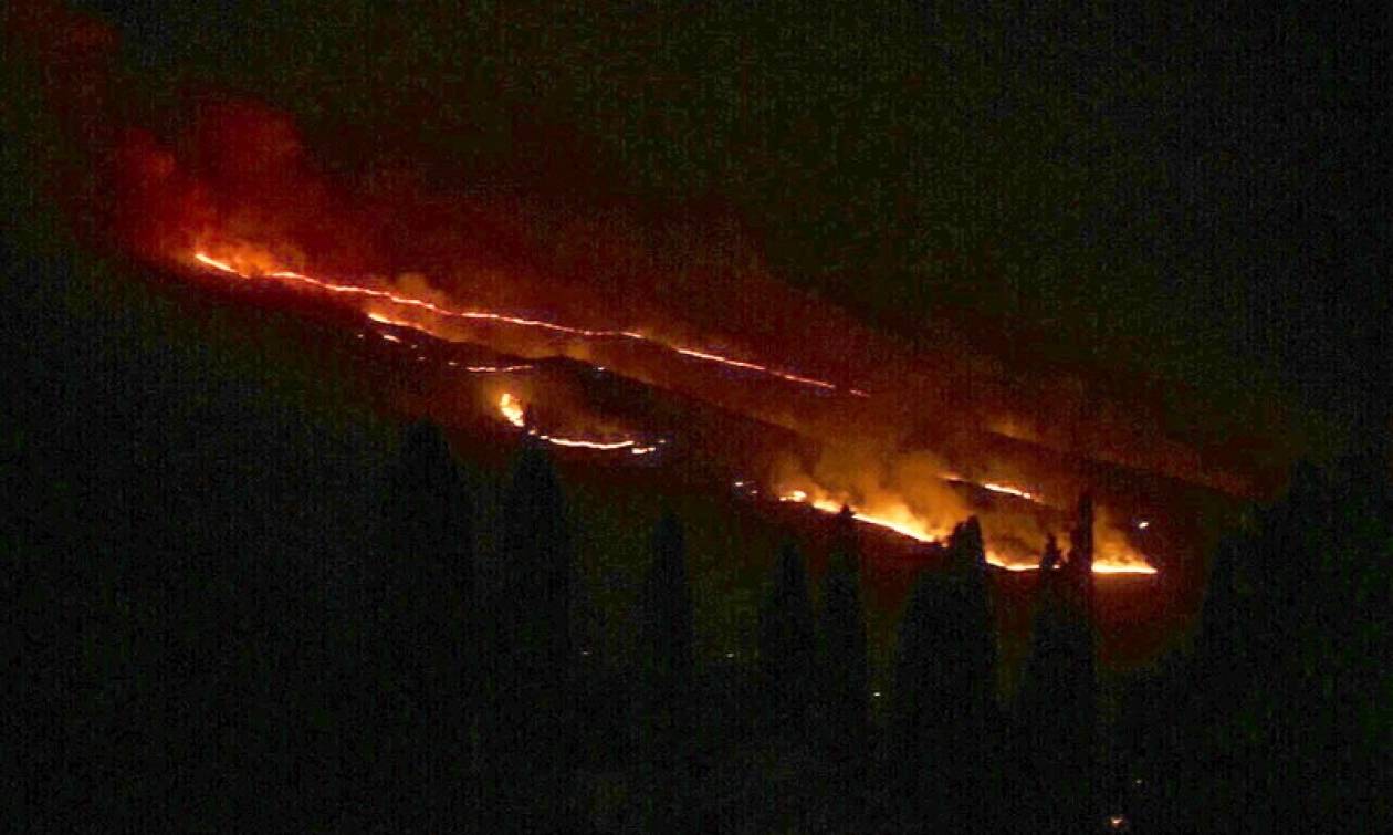 Φωτιά ΤΩΡΑ: Νέο μέτωπο στην Κεφαλονιά - Στις φλόγες ο Αλειμματάς