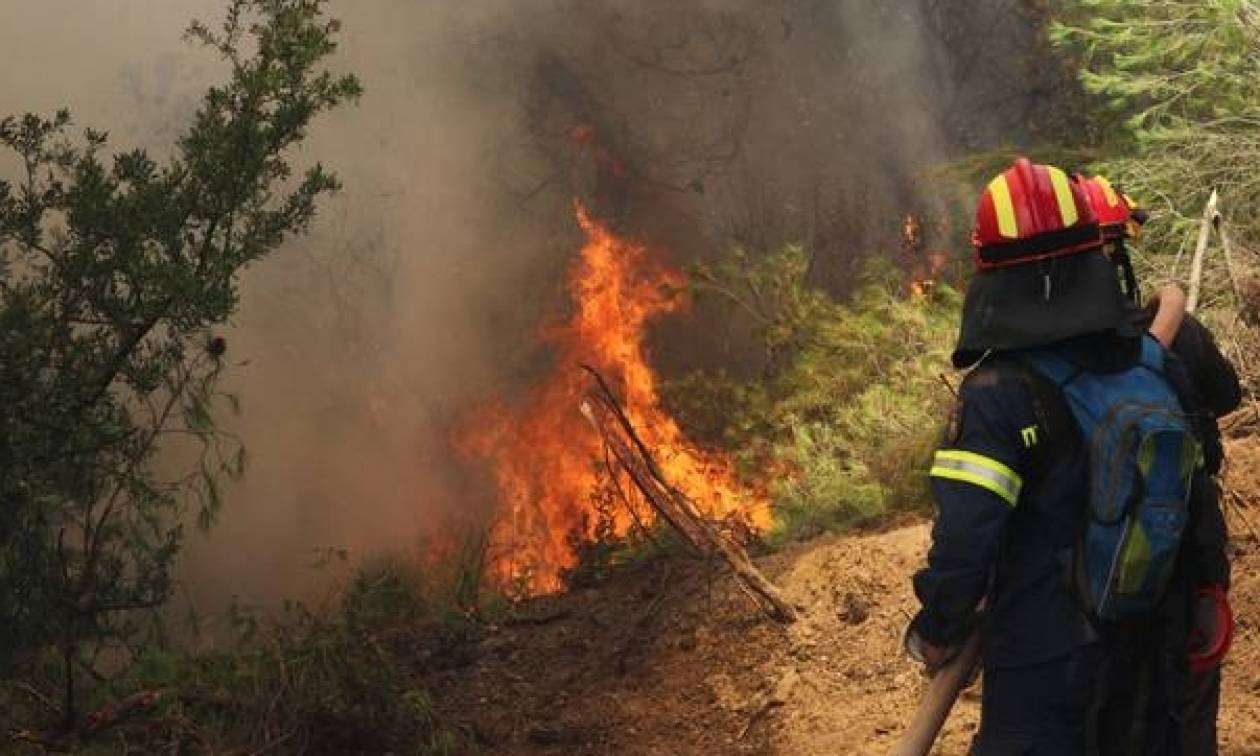 Φωτιά ΤΩΡΑ: Πού μαίνονται πυρκαγιές στην Ελλάδα