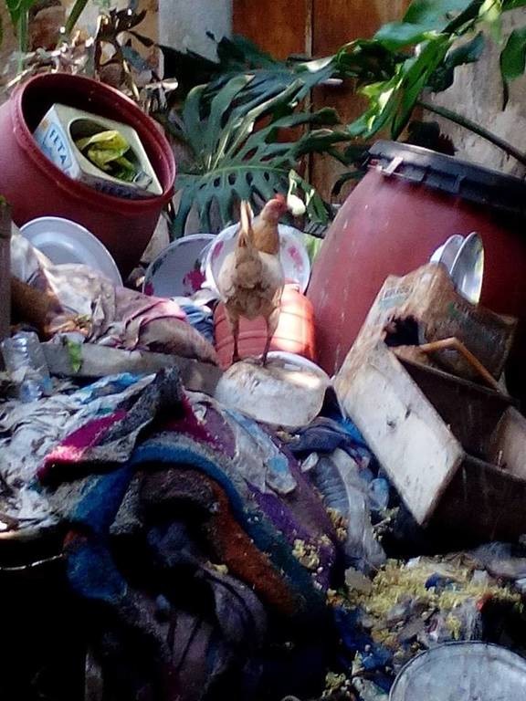 Σοκ στη Χίο: Ηλικιωμένη ζούσε σε τρώγλη ανάμεσα σε σκουπίδια, περιττώματα και τρωκτικά! (pics)