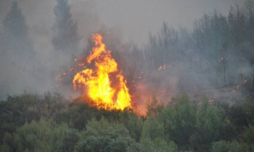 Φωτιά ΤΩΡΑ: Πυρκαγιά στην Κυπαρισσία