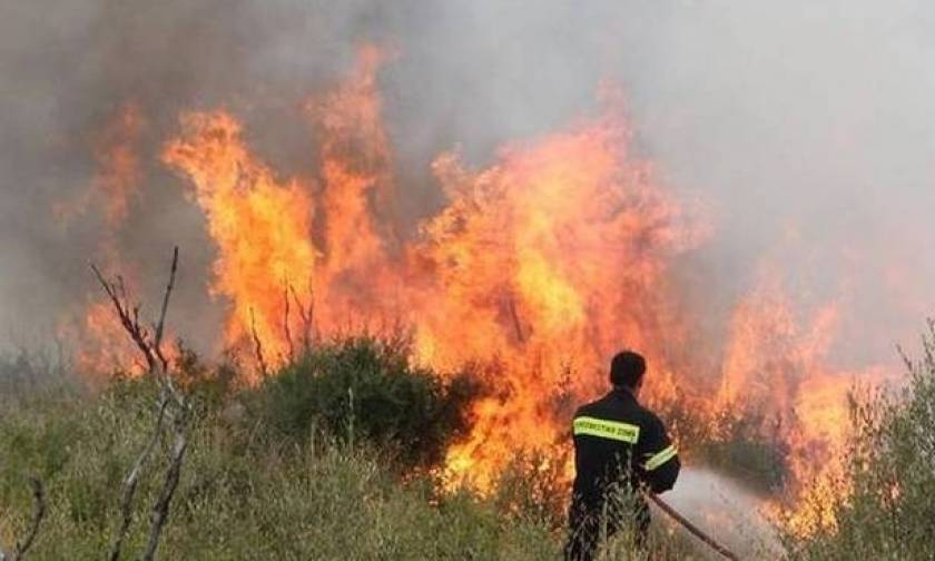 Συναγερμός: Μεγάλη φωτιά ΤΩΡΑ κοντά σε σπίτια στις Αχαρνές