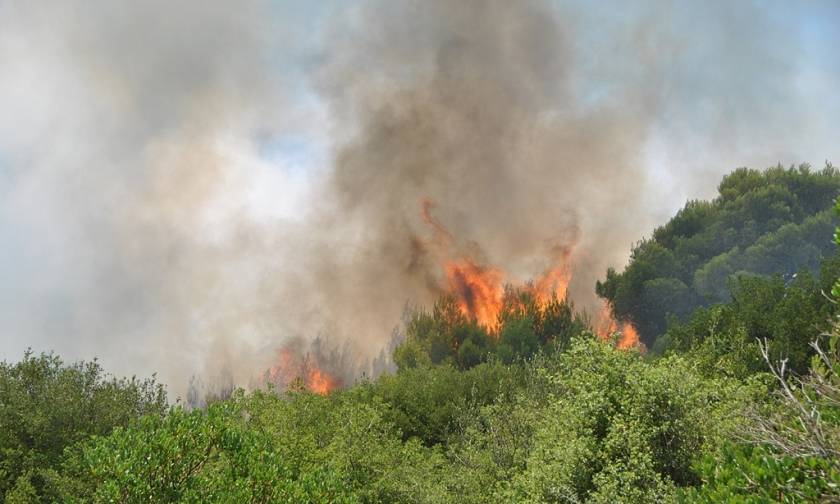 Φωτιά: Σε ύφεση η πυρκαγιά στο Μαρκόπουλο – Περιορίστηκε το μέτωπο στην Κυπαρισσία