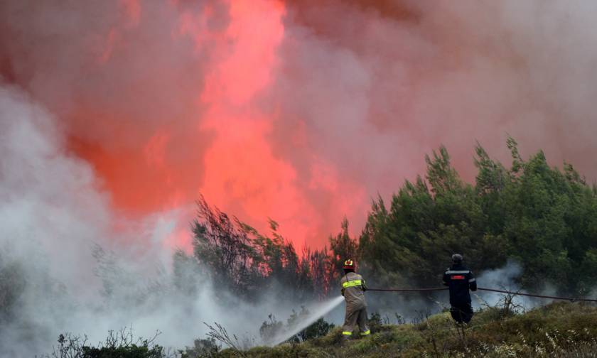 Ηλεία: Μαίνεται η πυρκαγιά στα Ροδινά