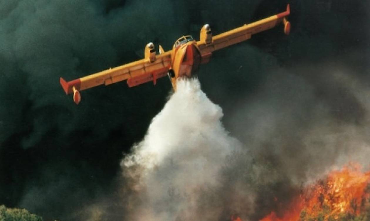 Φωτιά στα Ροδινά της Ζαχάρως: Βίντεο που κόβει την ανάσα - Η εντυπωσιακή «βουτιά» Canadair