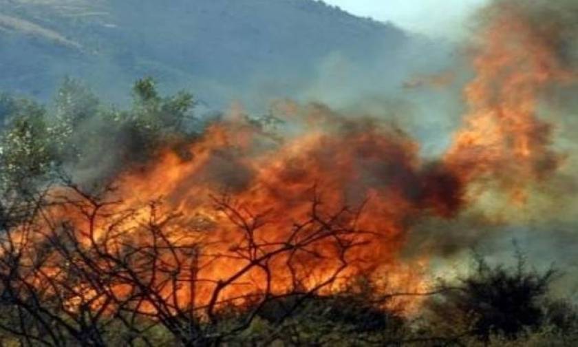 Major wildfire near tourist resort in Dafnila on Corfu