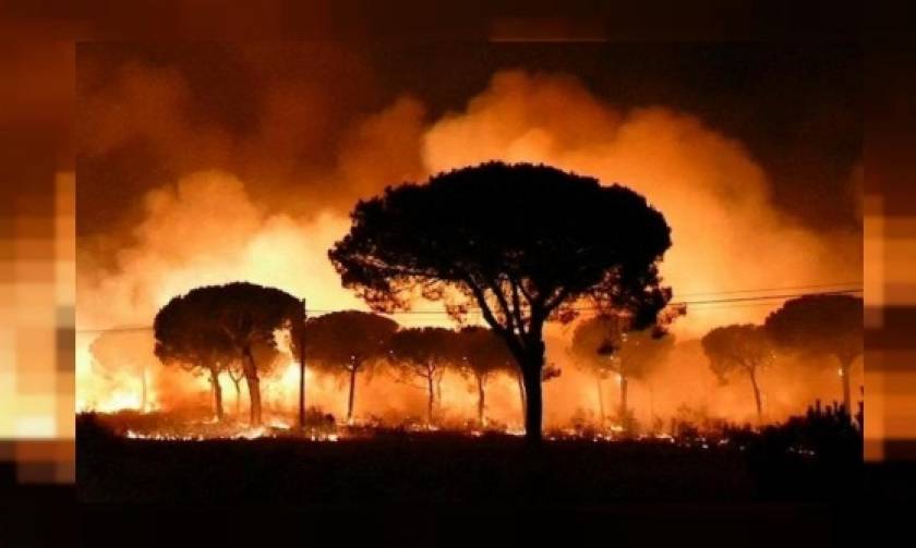 Καταστροφικές πυρκαγιές έπληξαν φέτος την Ισπανία - Ήταν οι μεγαλύτερες της τελευταίας 5ετίας!