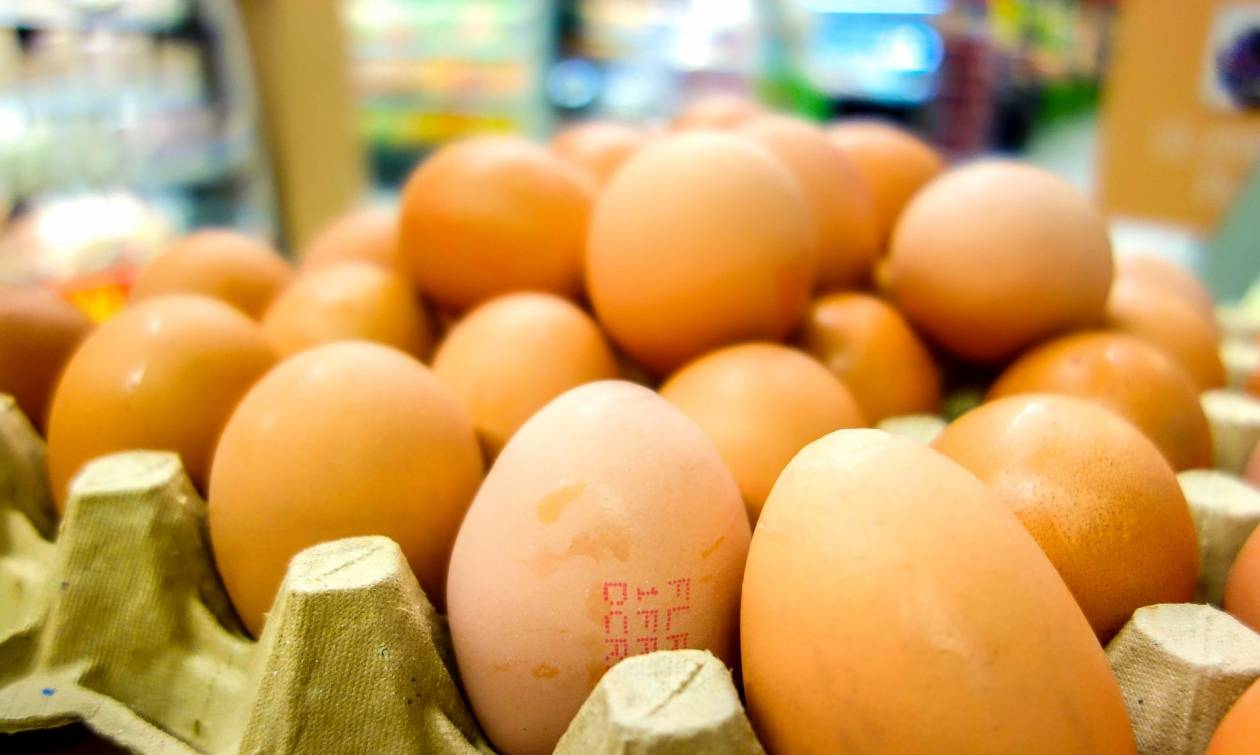 «Ασύλληπτο» το κόστος της ζημιάς από το σκάνδαλο με τα μολυσμένα αυγά στην Ολλανδία (Infographic)