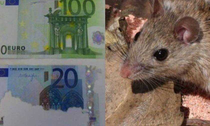 Κρήτη: Πέθανε και βρήκαν στο σπίτι της 30.000 ευρώ φαγωμένα από ποντίκια!