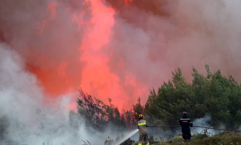 Φωτιά ΤΩΡΑ: Μεγάλη πυρκαγιά στη Μεγαλόπολη
