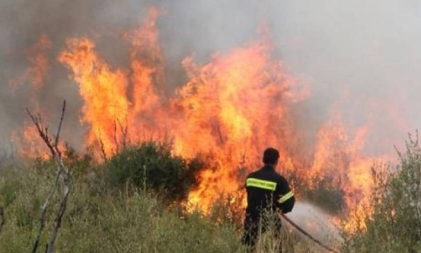 Συγκλονιστικές εικόνες από τη φωτιά στα Ιωάννινα - Κινδύνευσαν σπίτια (pics+vid)