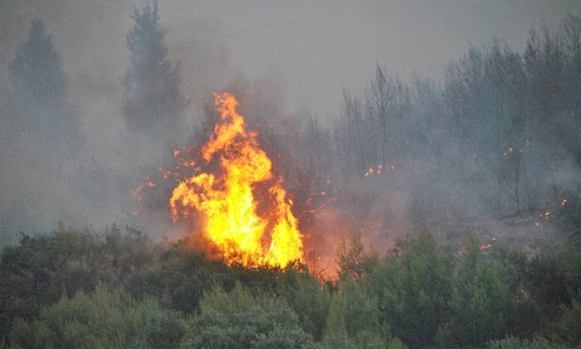 Φωτιά στη Ζάκυνθο: Θρίλερ με τουρίστες - Τους κύκλωσε η φωτιά