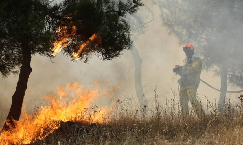 Φωτιά Τώρα: Σε ύφεση οι πυρκαγιές σε Αχαΐα και Αιτωλοακαρνανία