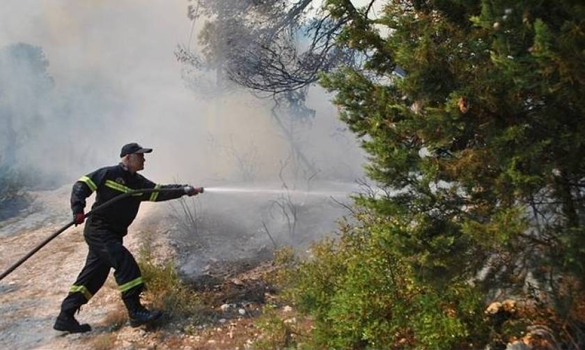 Wildfire breaks out in Amaliada, in Ilia
