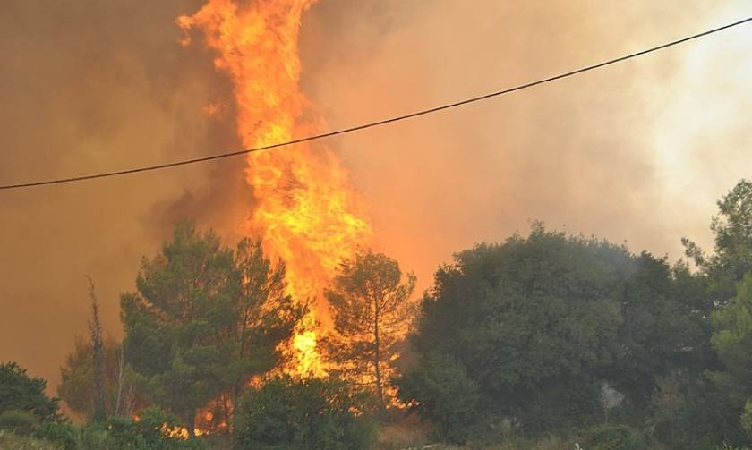 Μεγάλη φωτιά ΤΩΡΑ στην Πρέβεζα - Κάηκε εργοστάσιο, απειλούνται επιχειρήσεις