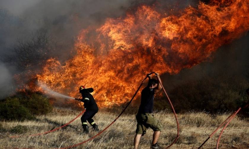 Φωτιά τώρα: Μεγάλη πυρκαγιά στη Βιστωνίδα