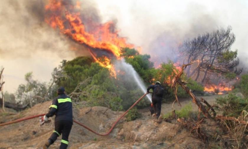 Φωτιά στην Εύβοια: Σε εξέλιξη πυρκαγιά σε δασική έκταση στην Ιστιαία