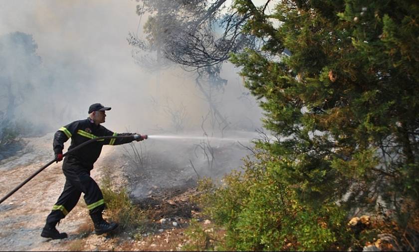 Ζάκυνθος: Μέτρα προστασίας των καμένων δασών – Αποζημιώσεις για τους πληγέντες