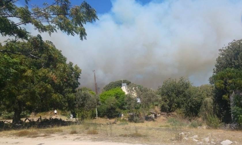 Φωτιά Ρόδος: Υπό μερικό έλεγχο η πυρκαγιά στο λόφο Αγίου Στεφάνου (pics)