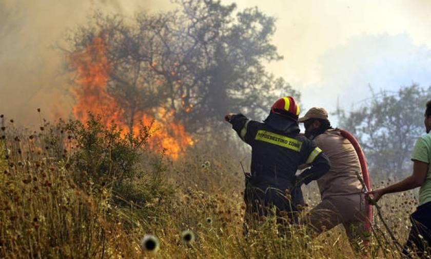 Φωτιά ΤΩΡΑ: Πυρκαγιά στην Κέρκυρα