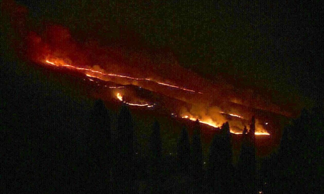Φωτιά ΤΩΡΑ: Νέα πυρκαγιά στη Ζάκυνθο - Στις φλόγες το Κορίθι (pic)