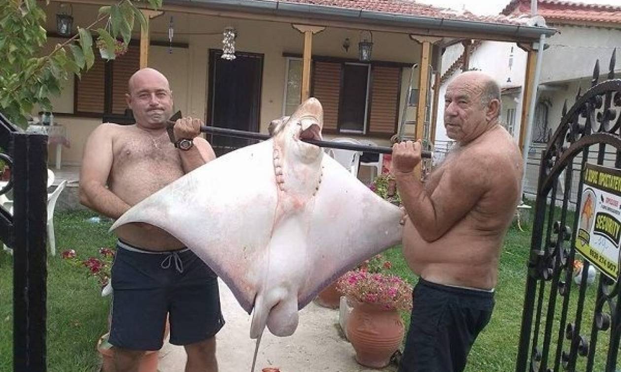 Ψαροντουφεκάς έβγαλε σαλάχι 70 κιλών στα παράλια της Λάρισας (pics)
