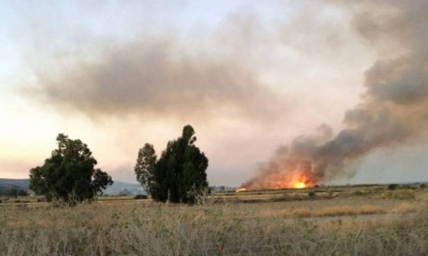 Φωτιά: Υπό έλεγχο η πυρκαγιά στο Τυμπάκι της Κρήτης