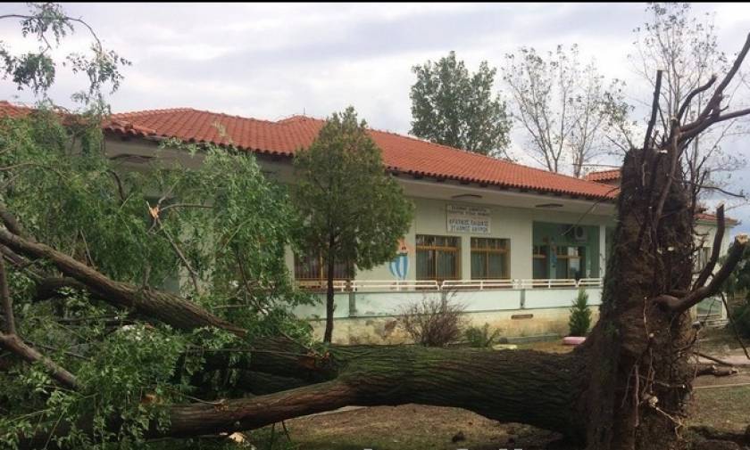 Καταστροφές από την κακοκαιρία που έπληξε την Πέλλα – Δέντρα έπεσαν πάνω σε σπίτια (pics & vid)
