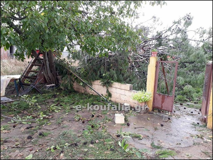 Καταστροφές από την κακοκαιρία που έπληξε την Πέλλα – Δέντρα έπεσαν πάνω σε σπίτια (pics & vid)