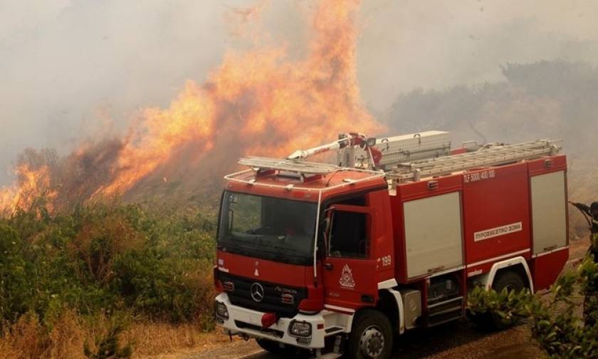 Σε εξέλιξη μεγάλη φωτιά στα Κανάλια Κέρκυρας: Η πυρκαγιά πλησιάζει σπίτια