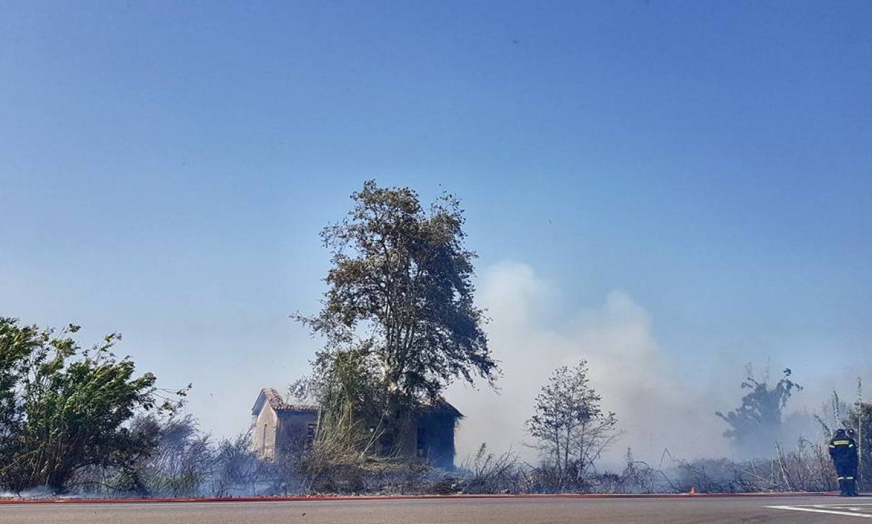 Φωτιές Ηλεία: Μεγάλες πυρκαγιές σε Λεχαινά και Ανδραβίδα - Απειλείται η Αρετή (pics)