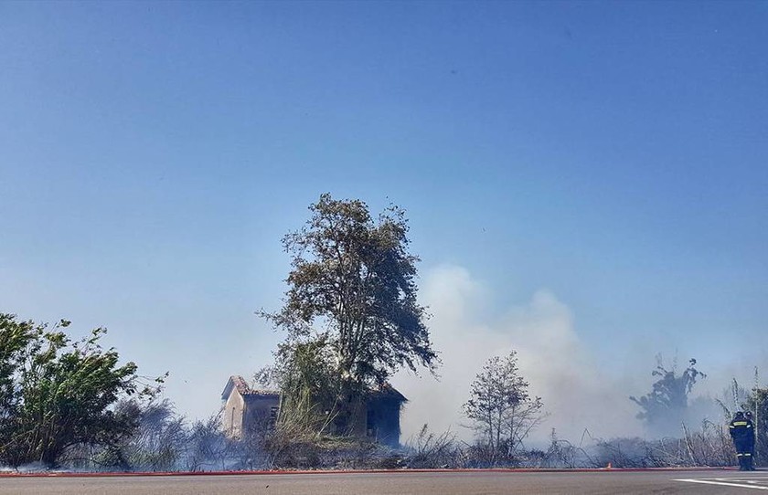 Φωτιές Ηλεία: Μεγάλες πυρκαγιές σε Λεχαινά και Ανδραβίδα - Απειλείται η Αρετή