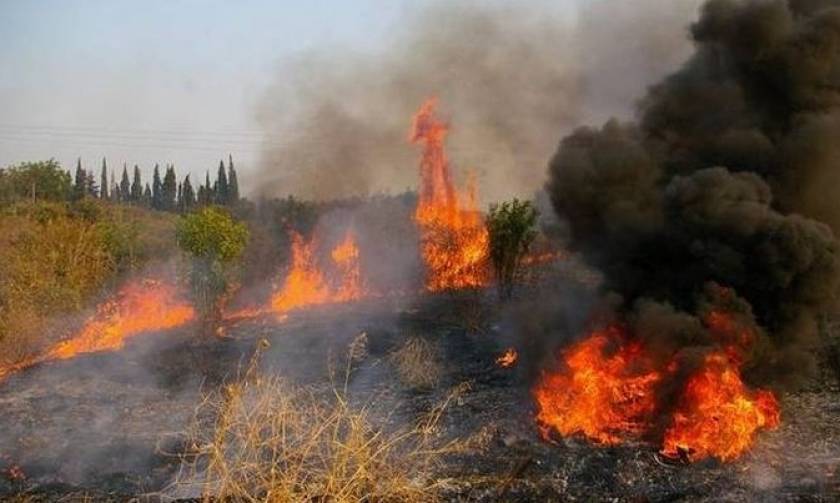 Μεγάλη φωτιά με δύο μέτωπα στη δυτική Αχαΐα: Απειλείται η κοινότητα Άρλα