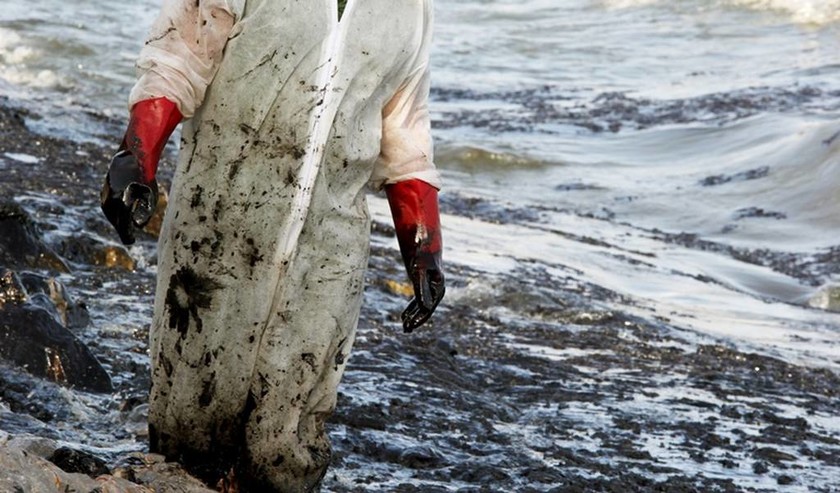 «Κρανίου Τόπος» ο Σαρωνικός: Ξεβράζει δηλητήριο η θάλασσα στη Σαλαμίνα - Ανατριχιαστικές εικόνες 