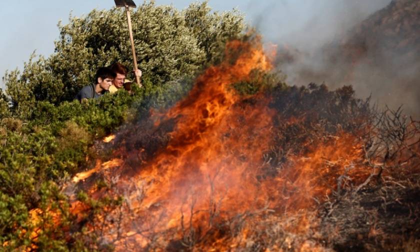 Φωτιά ΤΩΡΑ: Τρεις μεγάλες πυρκαγιές σε εξέλιξη - Ποιες περιοχές κινδυνεύουν