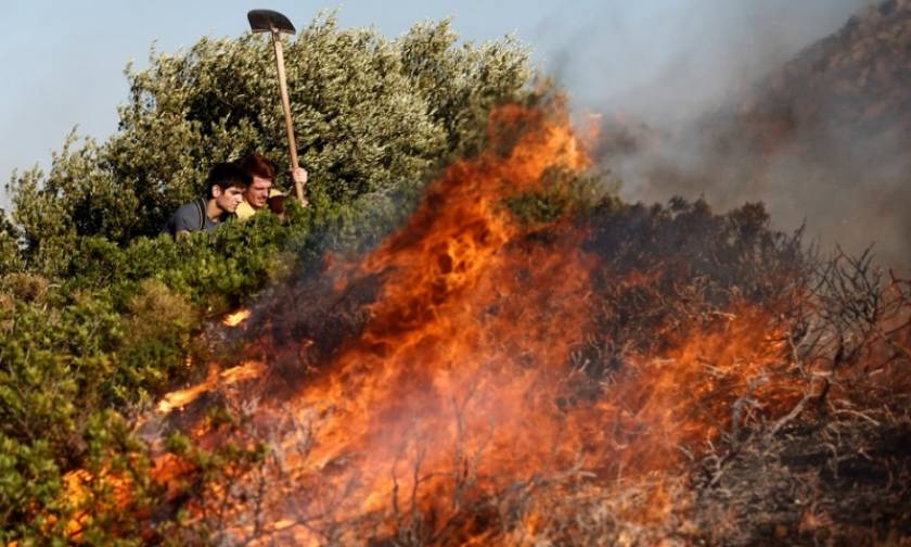 One house torched in wildfire still burning western Achaia