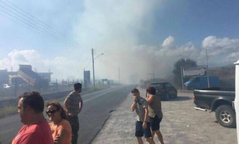 Δύο φωτιές στη Μεσσηνία - Η πυρκαγιά στον Μελιγαλά απειλεί σπίτια (vid)