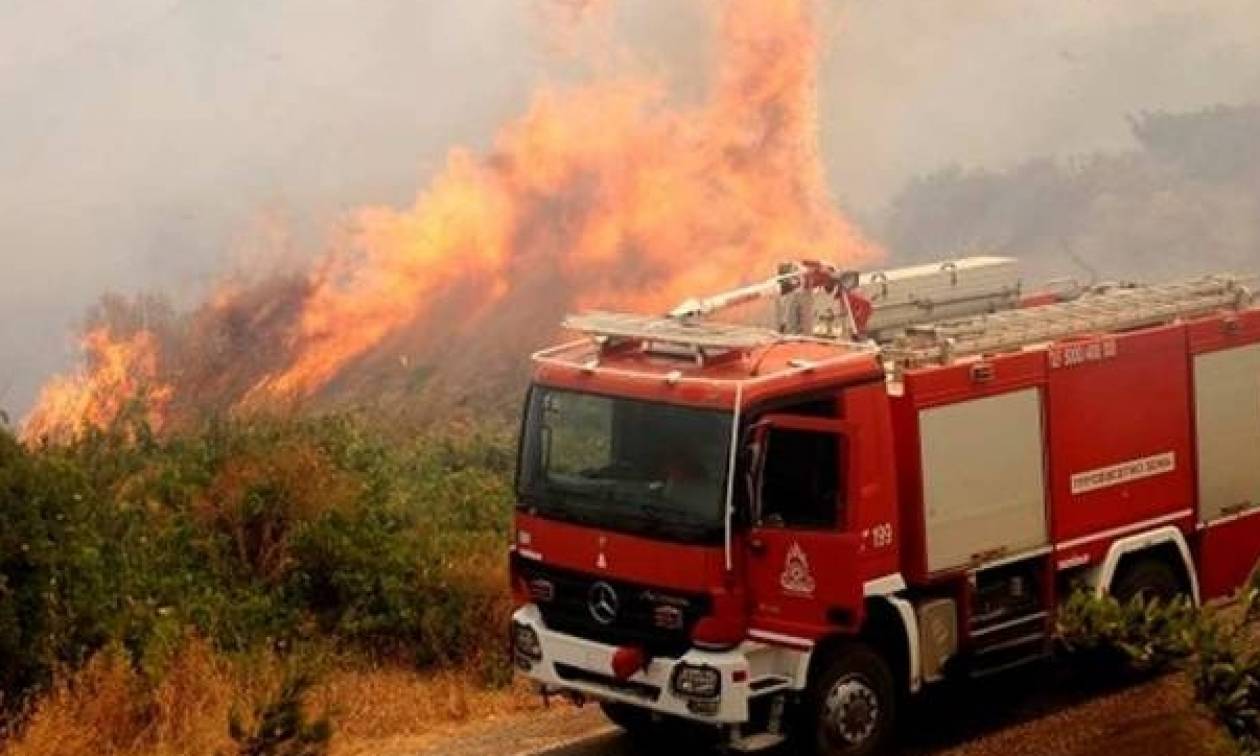 Πυρκαγιά ΤΩΡΑ: Καίγεται δασική έκταση στη Ζαχάρω