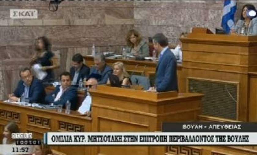 Έξαλλος ο Μητσοτάκης στη Βουλή: «Γιατί γελάτε, κυρία μου;» - Δείτε το βίντεο