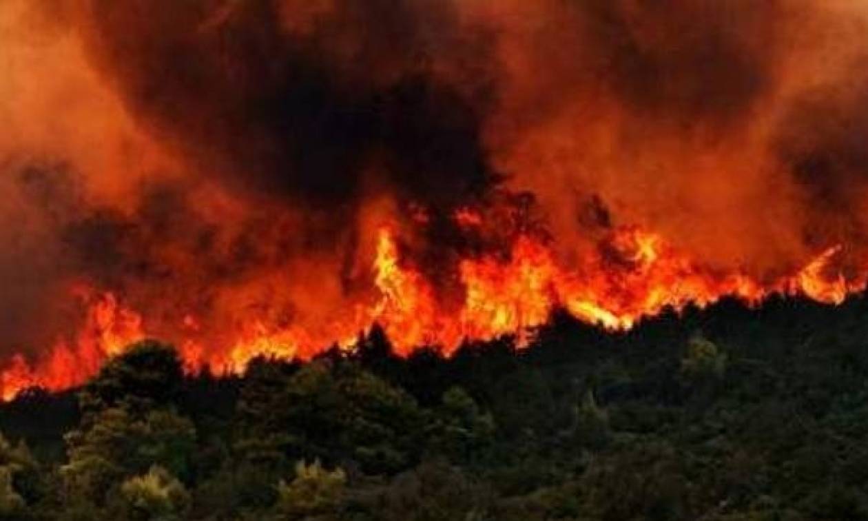 Φωτιά Live: Μεγάλη πυρκαγιά ΤΩΡΑ στη Ζάκυνθο κοντά σε μοναστήρι