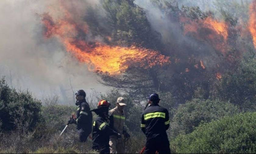 Φωτιά ΤΩΡΑ στη Φθιώτιδα: Μεγάλη πυρκαγιά στον Έξαρχο Αταλάντης