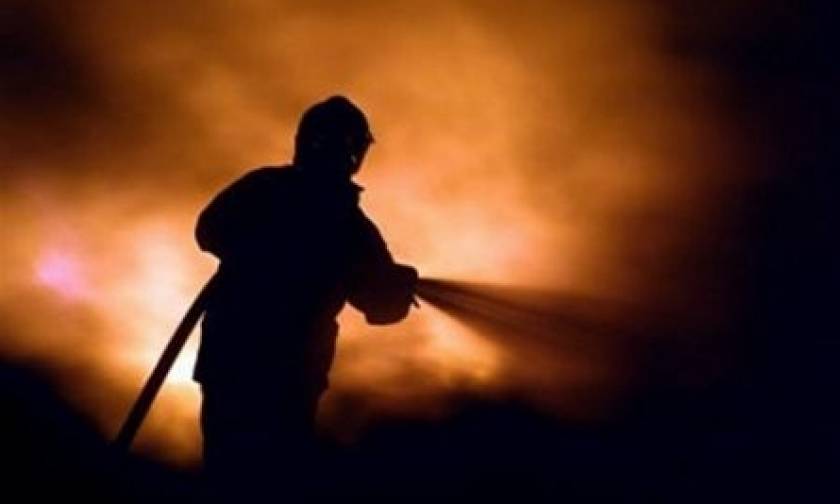 Λάρισα: Δύο φωτιές μαίνονται σε Κιλελέρ και Φάρσαλα