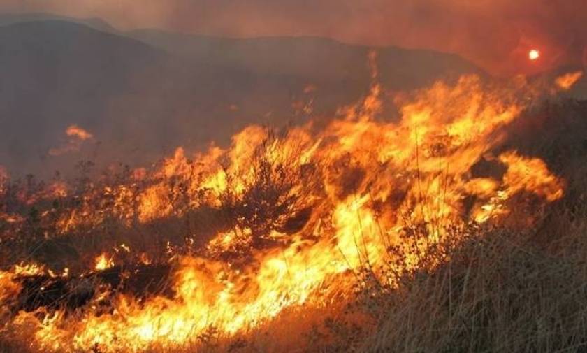 Φωτιά ΤΩΡΑ: Ανεξέλεγκτη για Τρίτη μέρα η πυρκαγιά στο Κούτσι Νεμέας (pic)