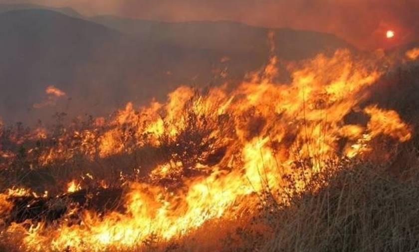 Καίγεται για τρίτη ημέρα δάσος στην Κορινθία