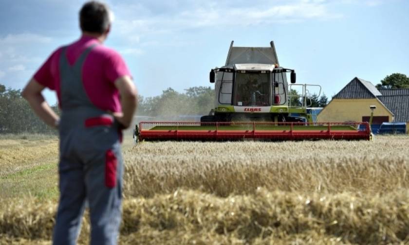 Αγρότες: Πότε και πόσα χρήματα θα δοθούν σε παλαιούς και νέους