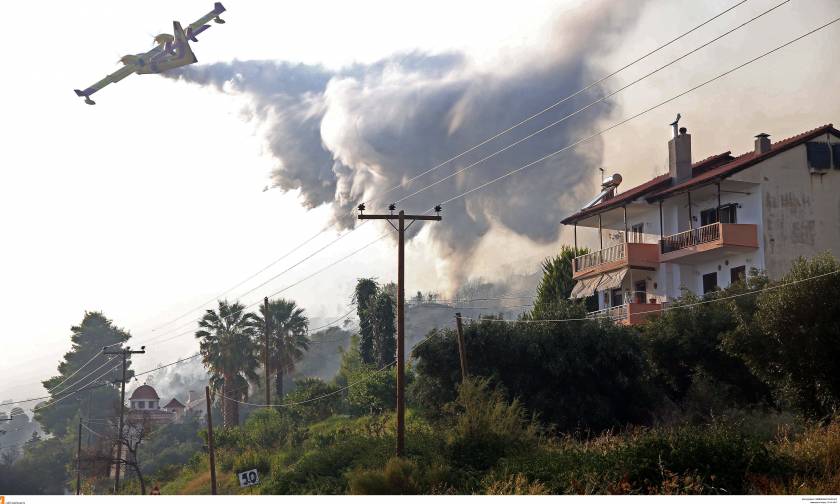 Κόλαση φωτιάς στη Χαλκιδική - «Γλείφουν» τα σπίτια οι πύρινες «γλώσσες» (pics+vids)