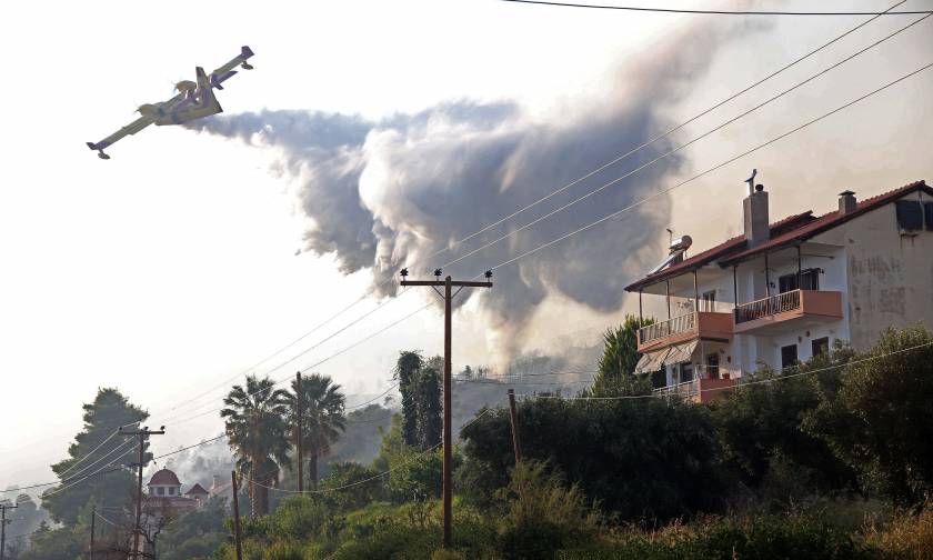 Φωτιά τώρα: Ο πύρινος εφιάλτης επέστρεψε – Κάηκαν σπίτια στην Χαλκιδική
