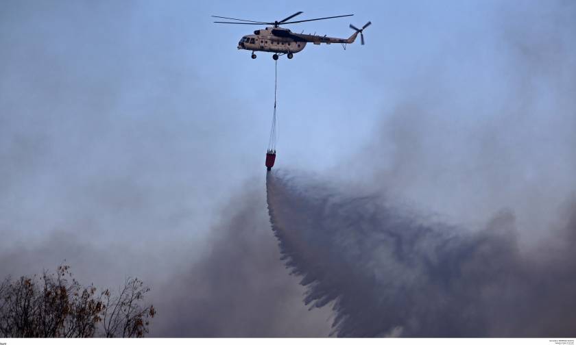 Φωτιά Χαλκιδική: Υπό μερικό έλεγχο η πυρκαγιά - Στάχτη χίλια στρέμματα δάσους