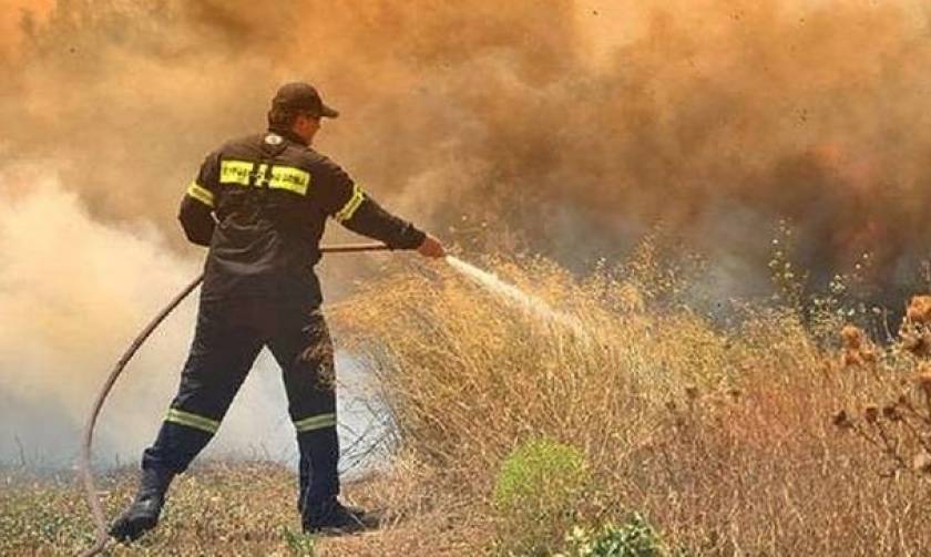 Φωτιά στην Ηλεία: Μέσα στο χωριό Μάκιστος η πυρκαγιά - Μάχη με τις φλόγες (pics)