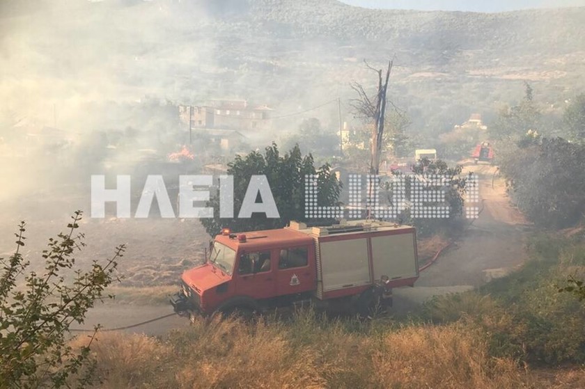 Φωτιά ΤΩΡΑ στην Ηλεία: Μέσα στο χωριό Μάκιστος η πυρκαγιά - Μάχη με τις φλόγες (pics)