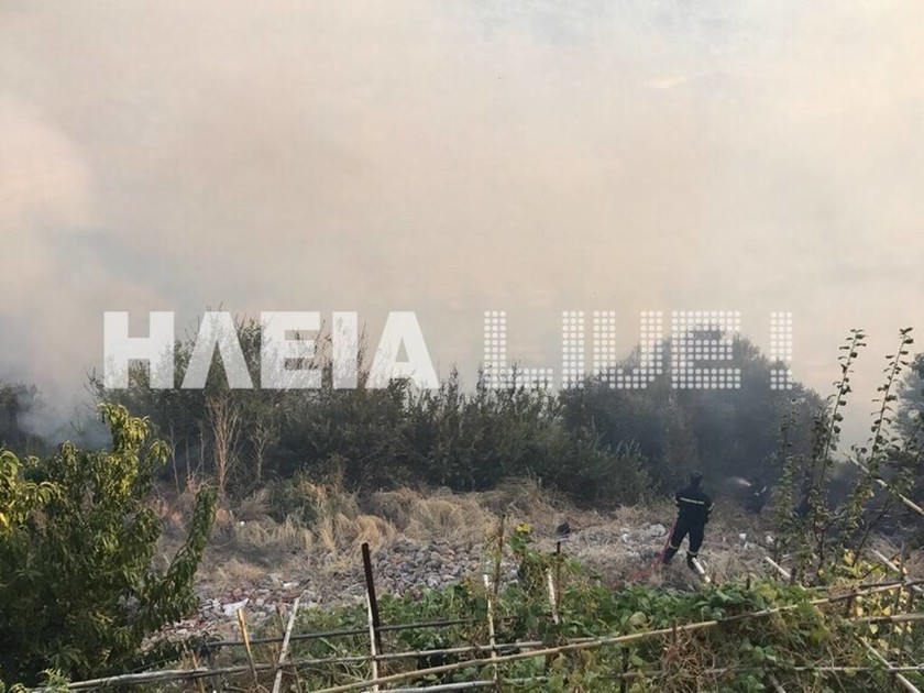 Φωτιά ΤΩΡΑ στην Ηλεία: Μέσα στο χωριό Μάκιστος η πυρκαγιά - Μάχη με τις φλόγες (pics)